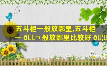 五斗柜一般放哪里,五斗柜一 🐬 般放哪里比较好 🦁